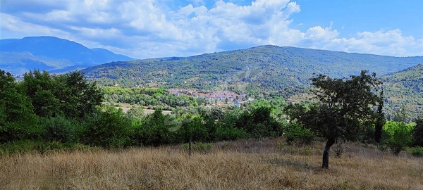 Küçük Resim