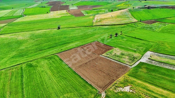 Küçük Resim