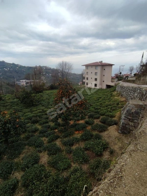 Küçük Resim