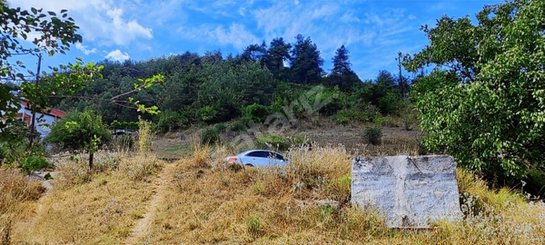 Küçük Resim