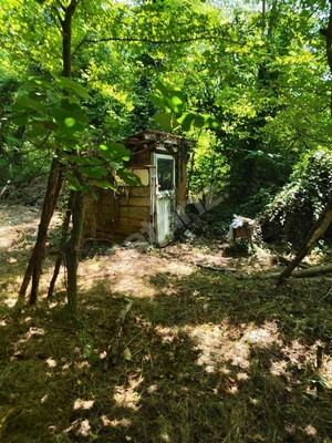 Küçük Resim