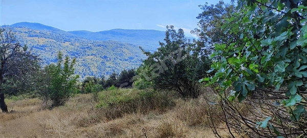 Küçük Resim