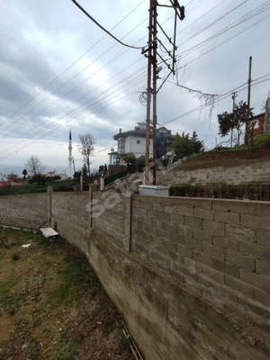 Küçük Resim