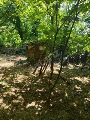 Küçük Resim