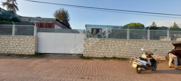 Küçük Resim