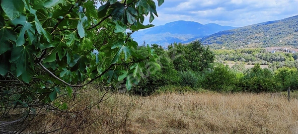 Küçük Resim