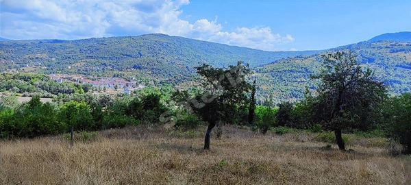 Küçük Resim