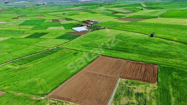 Küçük Resim