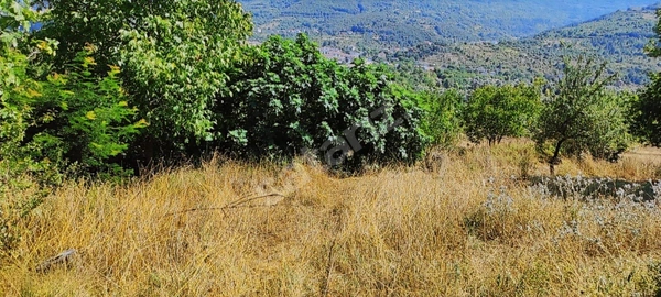 Küçük Resim