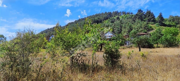 Küçük Resim