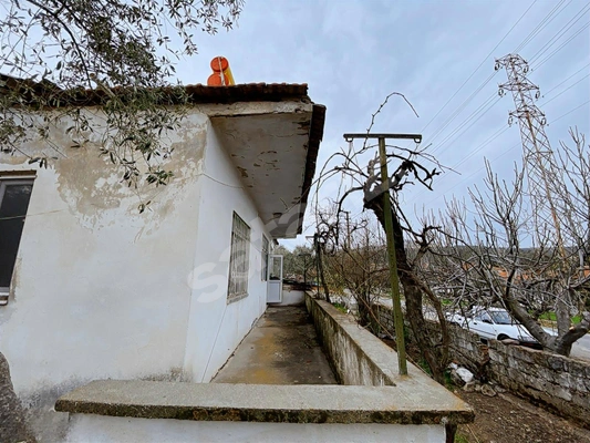 Küçük Resim