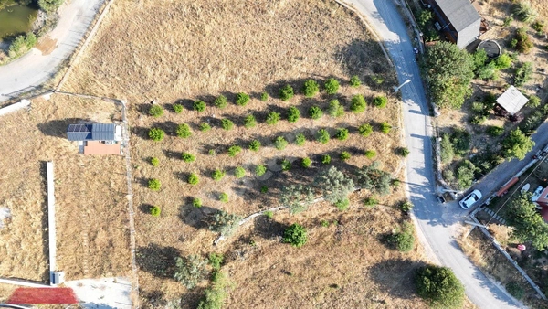Küçük Resim