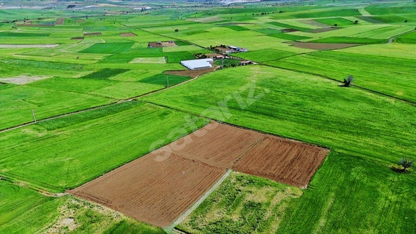 Küçük Resim